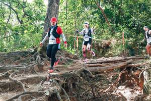 BIB: 
                            <button type="button" onclick="openModal(27719350)" class="btn btn-primary btn-sm float-right btn-popup" data-toggle="modal" data-target=".modal-high-quality">
                        <i class="fas fa-shopping-cart"></i> Add to Cart
                    </button>
                                            <button type="button" onclick="isThisMe(27719350, true)" class="btn btn-success btn-sm float-right btn-popup btn-isme hidden" data-toggle="tooltip" data-placement="bottom" title="นี่คือรูปของคุณใช่ไหม คลิกที่นี่เพื่อเอาเข้าอัลบั้ม">
                        <i class="fas fa-plus"></i> Add to album
                    </button>
                    <button type="button" onclick="isThisMe(27719350, false)" class="btn btn-warning btn-sm float-right btn-popup btn-isnotme hidden">
                        <i class="fas fa-ban"></i> Remove from album
                    </button>